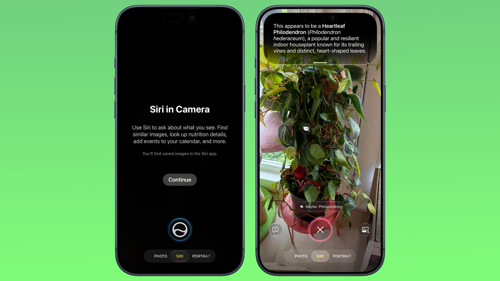 Ứng dụng Visual Intelligence trên iOS 27