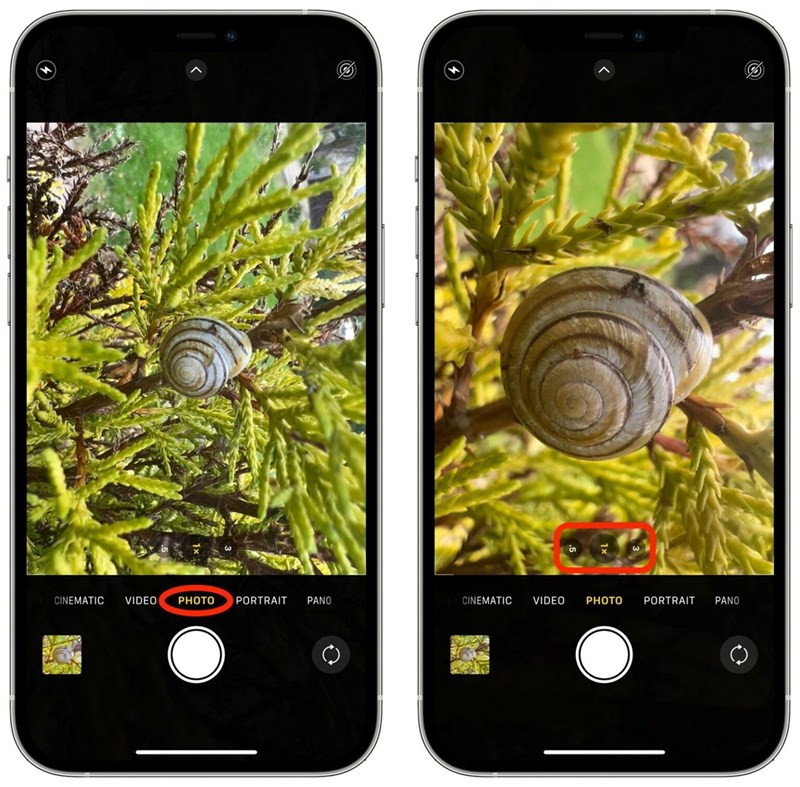 Tối ưu chụp/quay Macro và các chi tiết cận cảnh trên iPhone 18 (nguồn ảnh: thegiodidong)